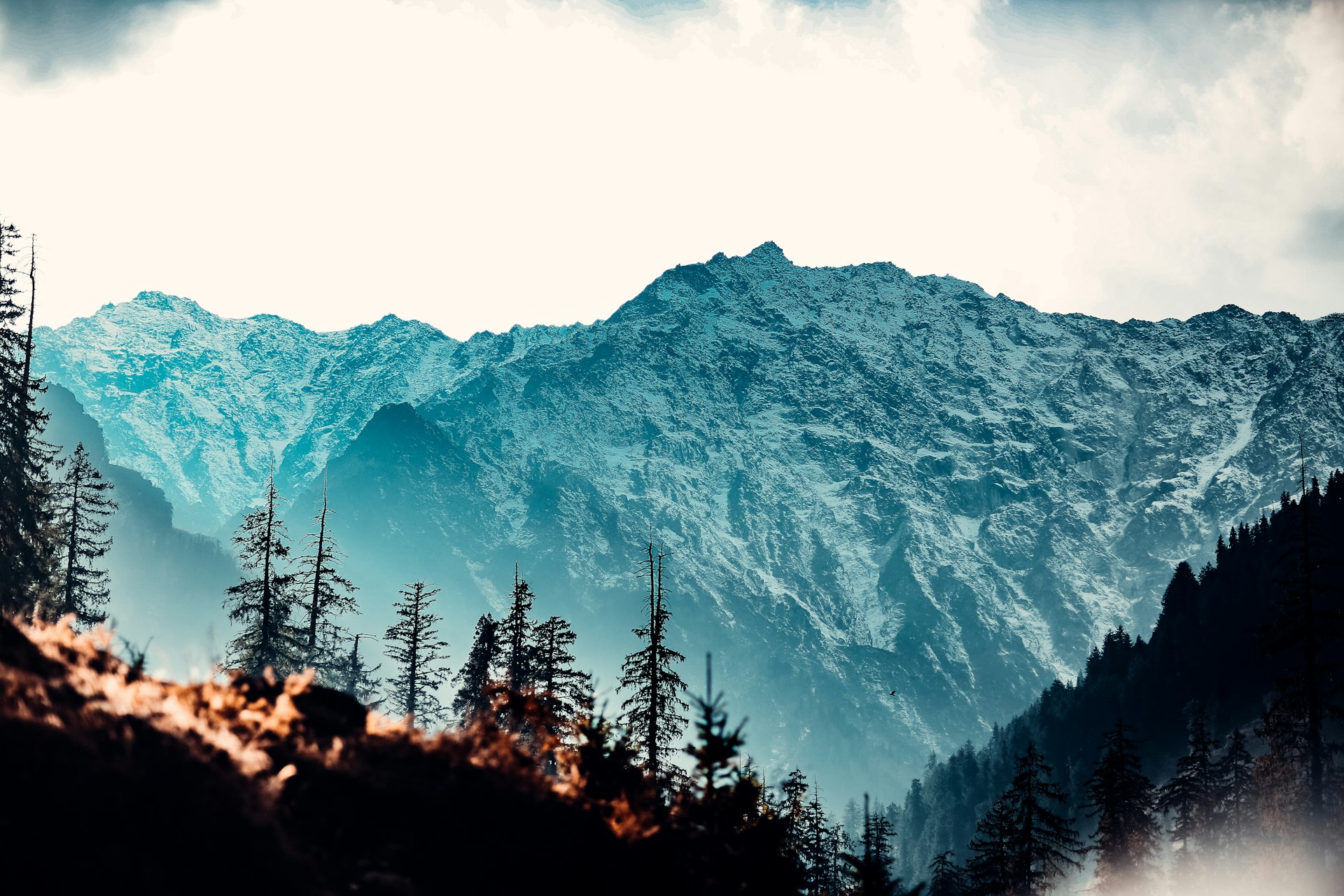 Opening a company in Cyprus: what to expect